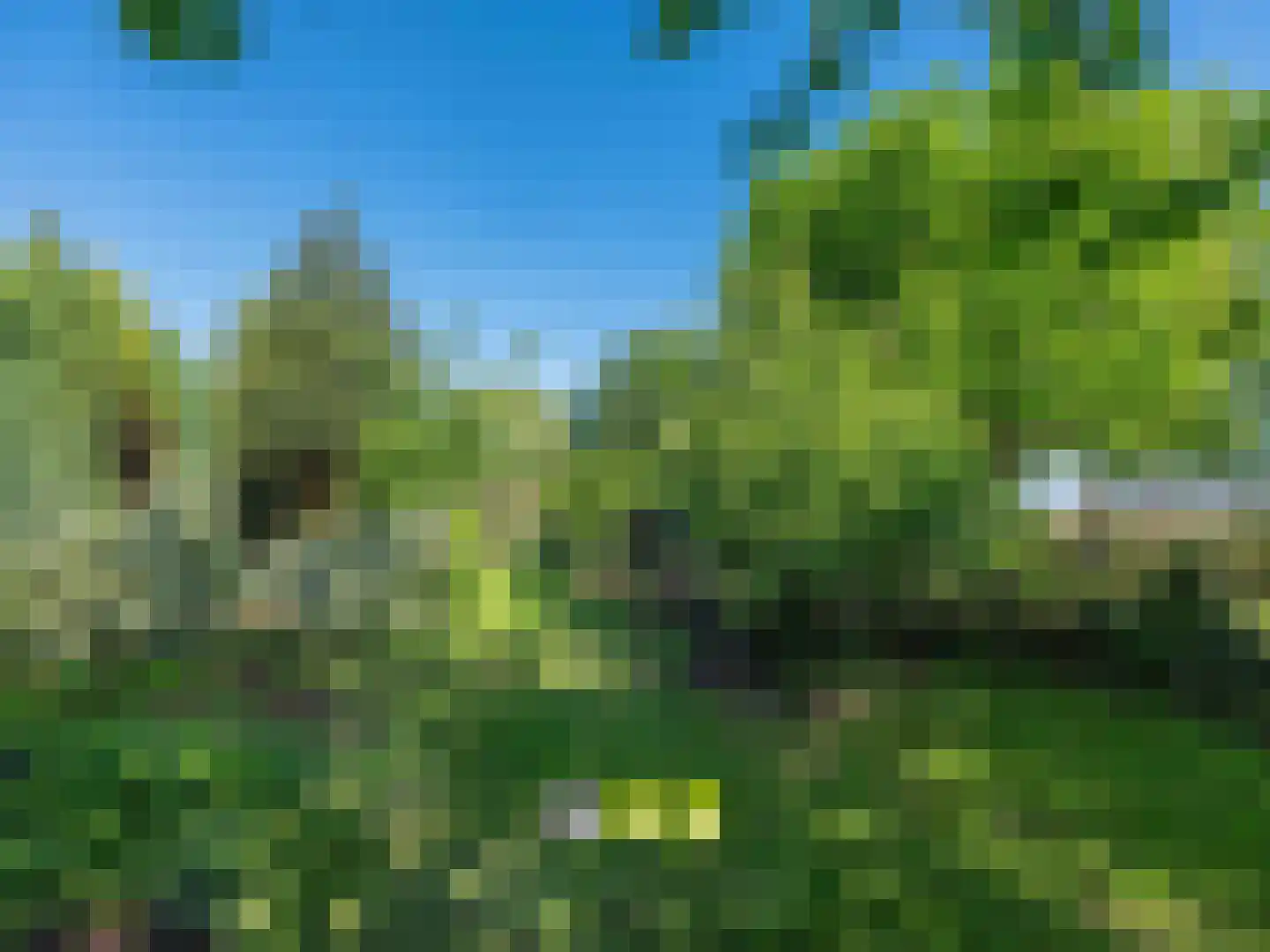 Klein Belgie 3650 Dilsen-Stokkem Vijfhuizen thumbnail 51