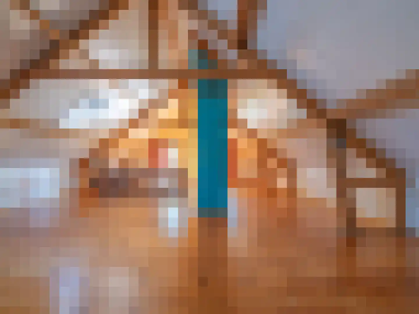 Klein Belgie 3650 Dilsen-Stokkem Vijfhuizen thumbnail 7