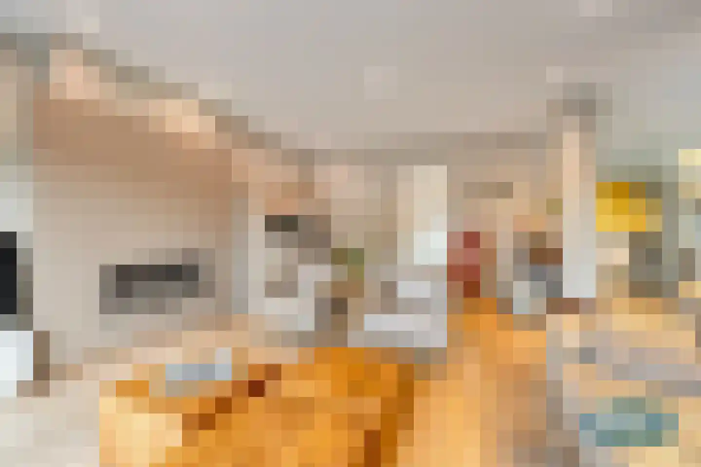 Klein Belgie 3650 Dilsen Vijfhuizen thumbnail 10