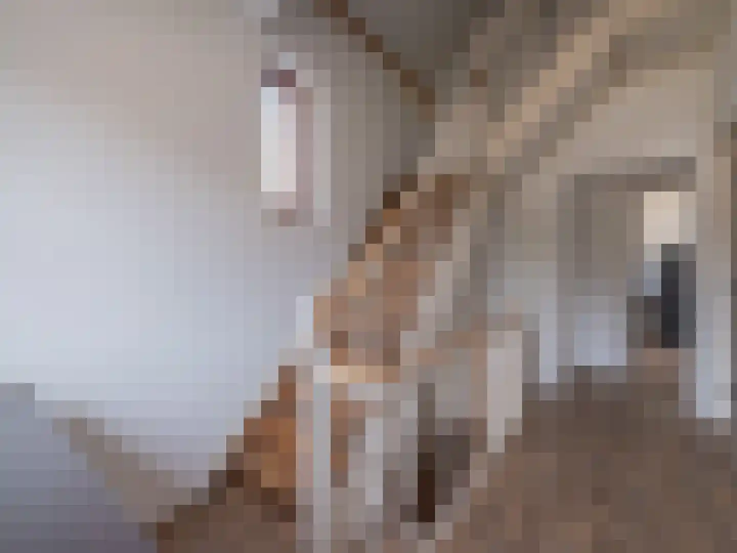 Klein Belgie 3650 Dilsen Vijfhuizen thumbnail 16