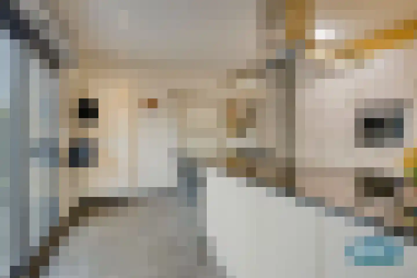 Klein Belgie 3650 Dilsen Vijfhuizen thumbnail 20