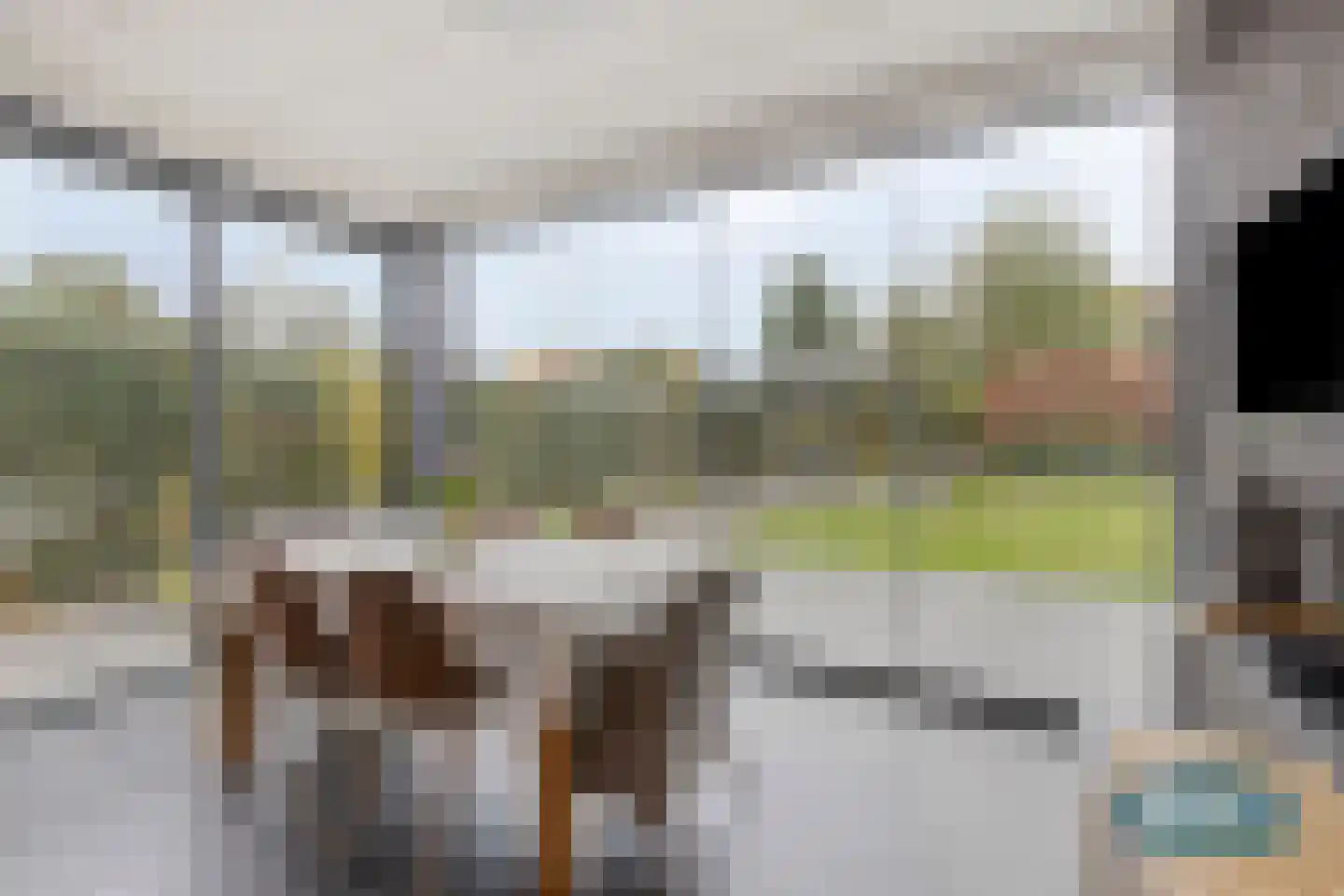Klein Belgie 3650 Dilsen Vijfhuizen thumbnail 21