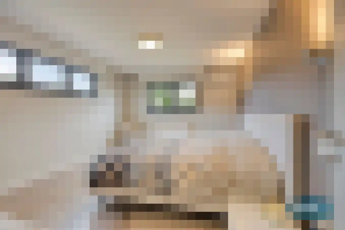 Klein Belgie 3650 Dilsen Vijfhuizen thumbnail 25