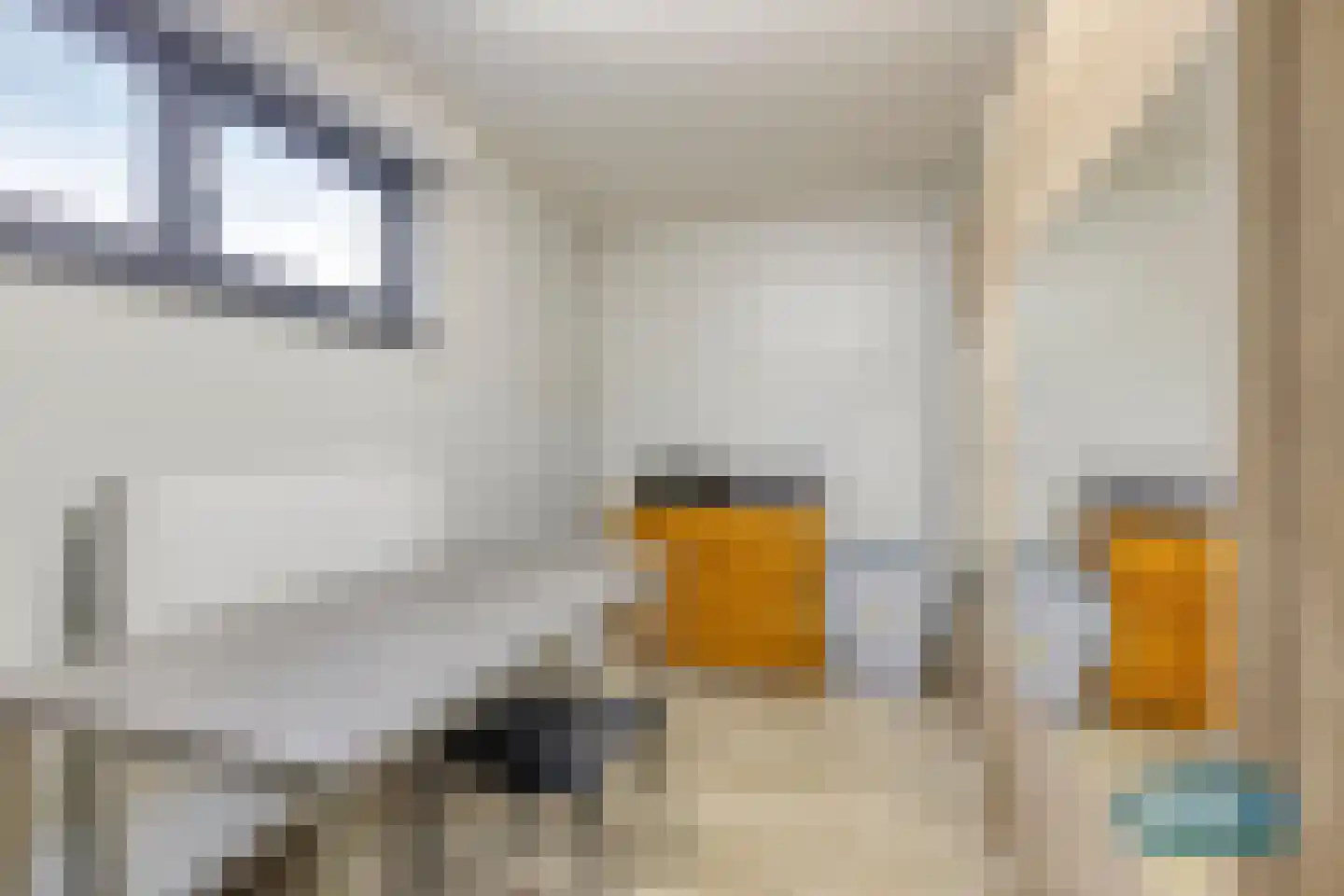 Klein Belgie 3650 Dilsen Vijfhuizen thumbnail 34