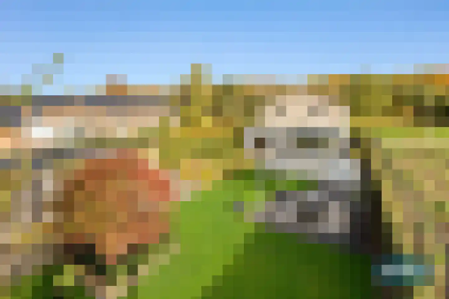 Klein Belgie 3650 Dilsen Vijfhuizen thumbnail 52