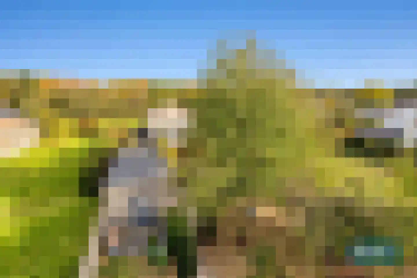 Klein Belgie 3650 Dilsen Vijfhuizen thumbnail 53