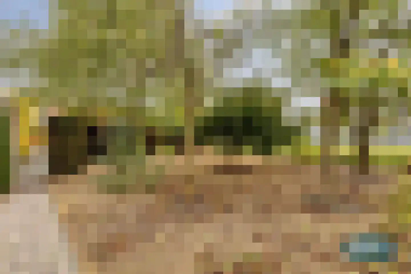 Klein Belgie 3650 Dilsen Vijfhuizen thumbnail 54