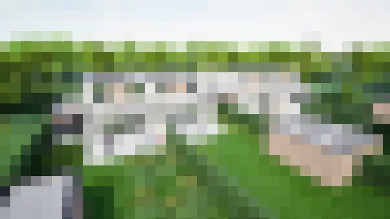 Klein Belgie 3650 Rotem Vijfhuizen thumbnail 6