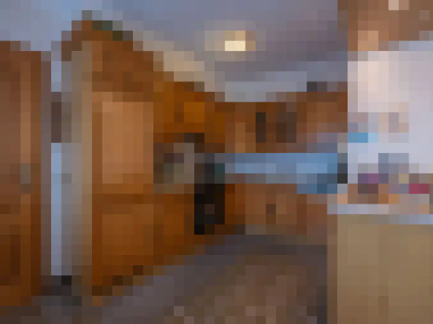 Klein Belgie 3680 Maaseik Vijfhuizen thumbnail 10