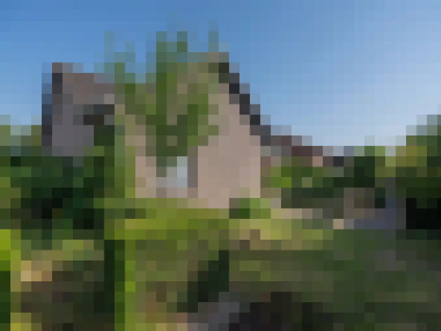 Klein Belgie 3680 Maaseik Vijfhuizen thumbnail 20