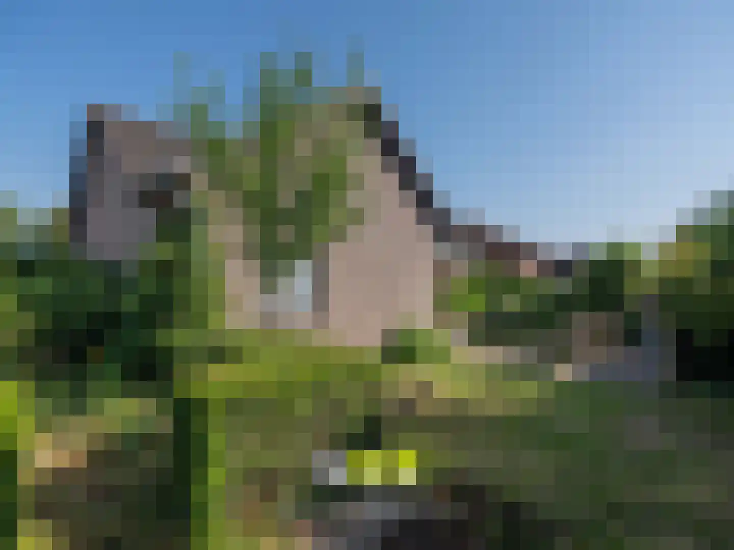 Klein Belgie 3680 Maaseik Vijfhuizen thumbnail 25