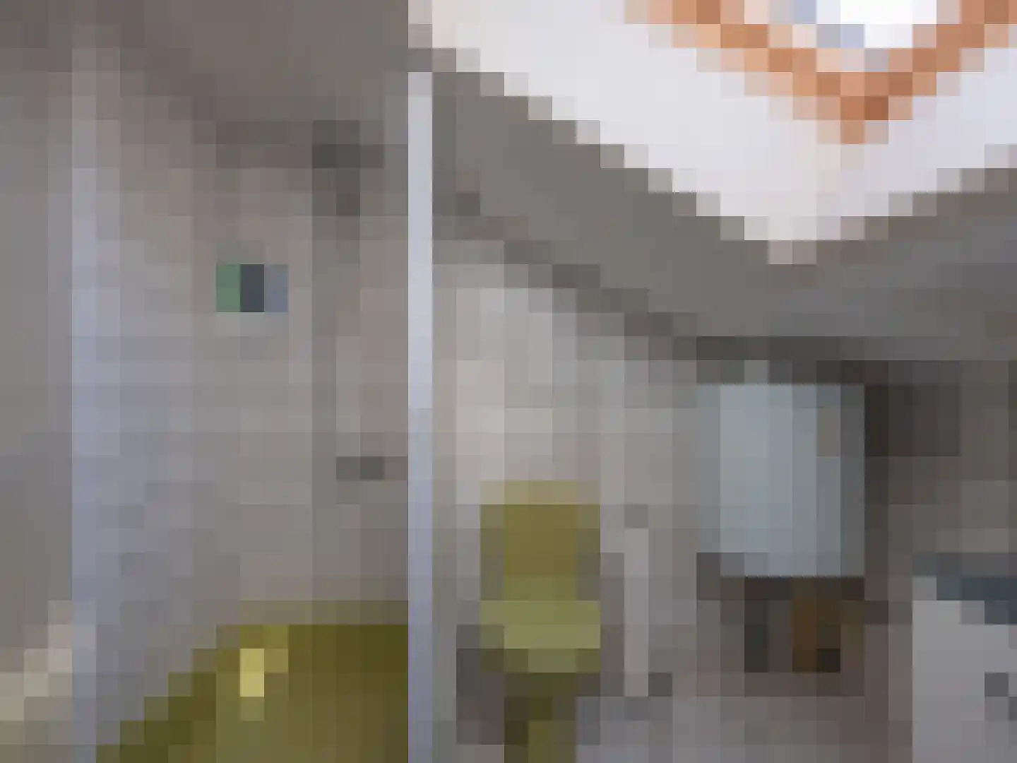 Klein Belgie 3680 Maaseik Vijfhuizen thumbnail 25