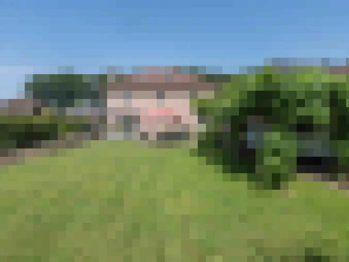 Klein Belgie 3680 Maaseik Vijfhuizen thumbnail 26