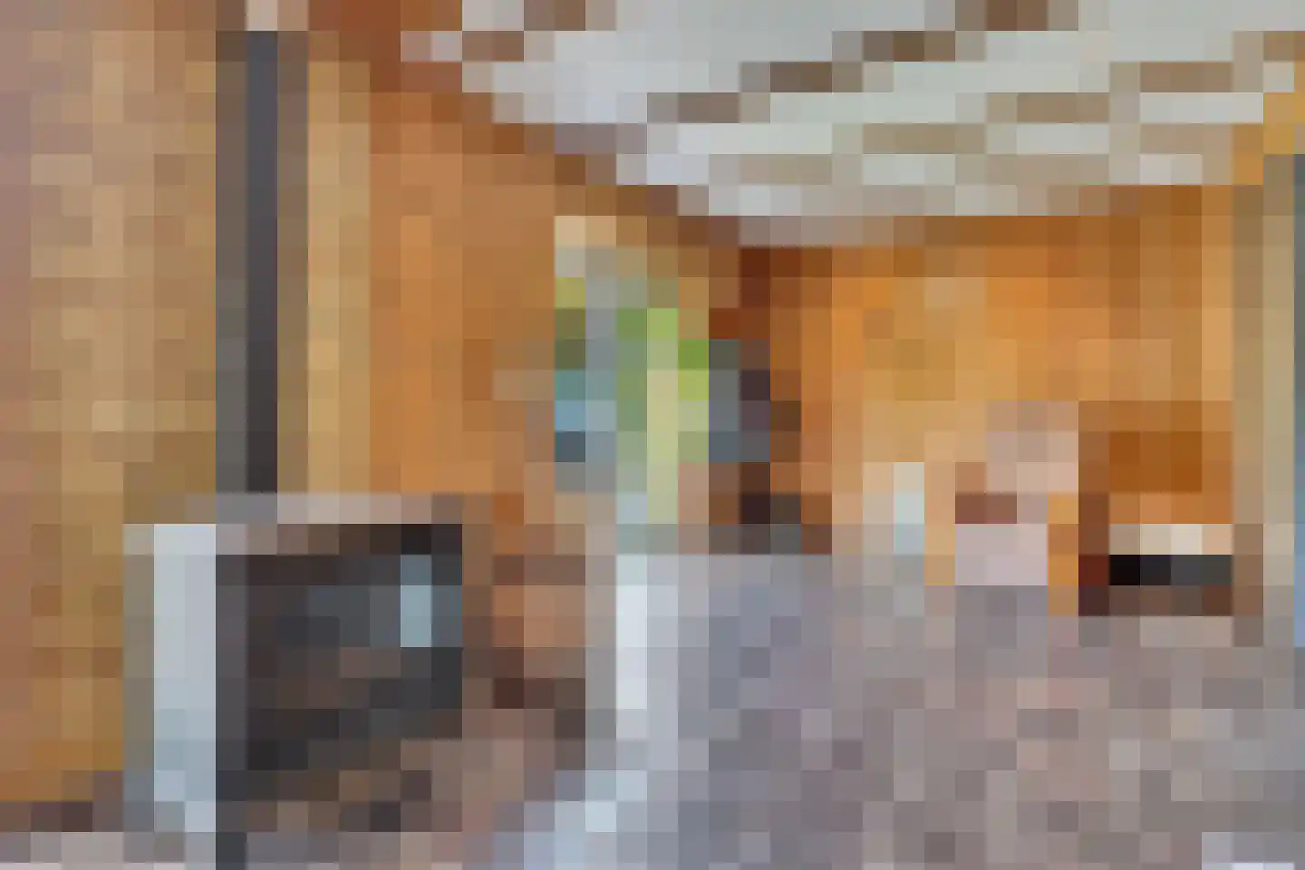Klein Belgie 3690 Zutendaal Vijfhuizen thumbnail 11