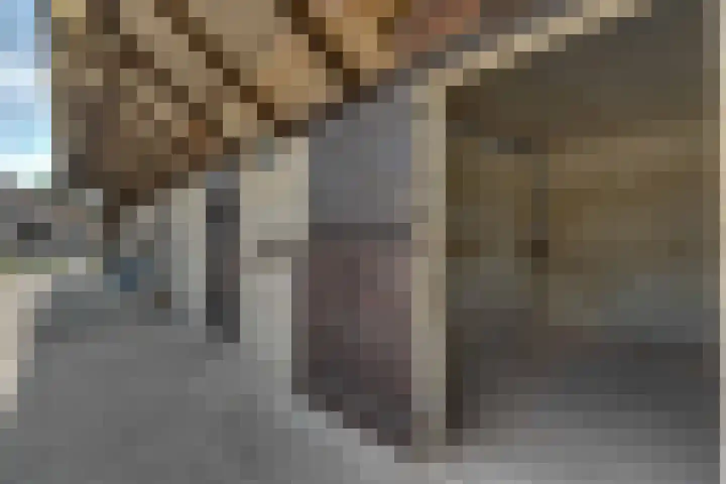 Klein Belgie 3690 Zutendaal Vijfhuizen thumbnail 28