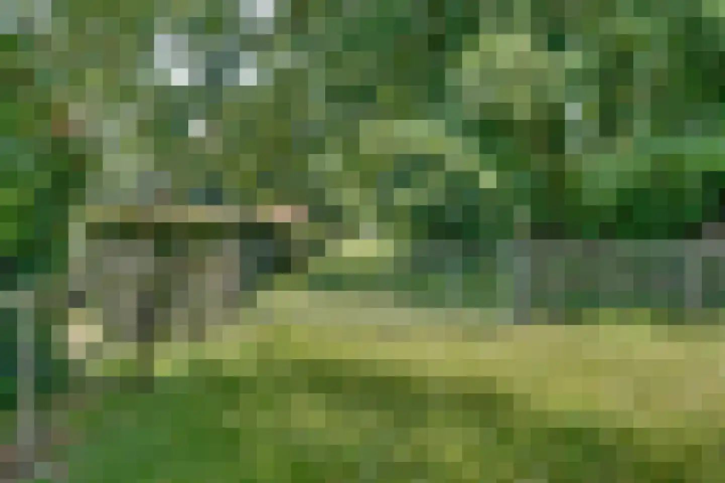 Klein Belgie 3690 Zutendaal Vijfhuizen thumbnail 35