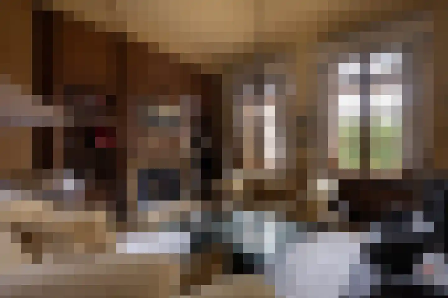 Klein Belgie 370 Vijfhuizen thumbnail 17