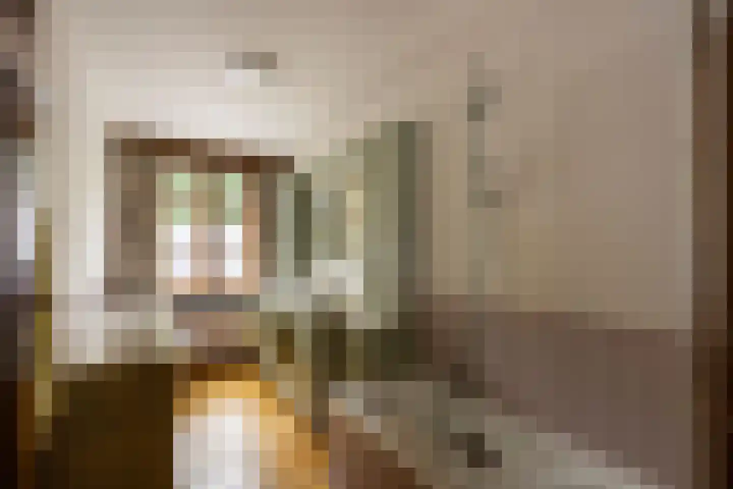 Klein Belgie 370 Vijfhuizen thumbnail 27