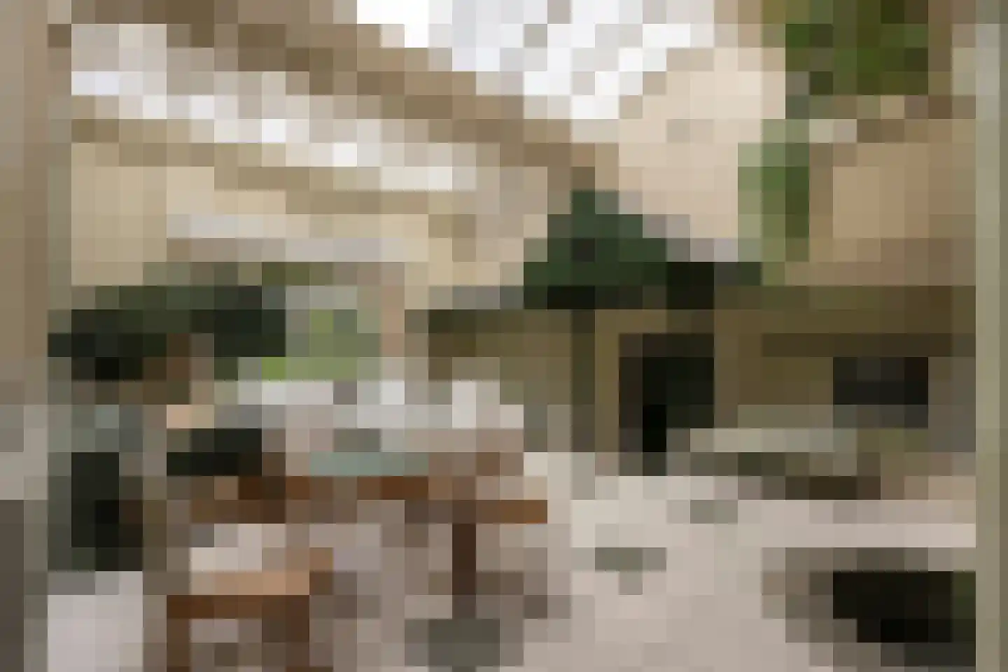 Klein Belgie 370 Vijfhuizen thumbnail 28