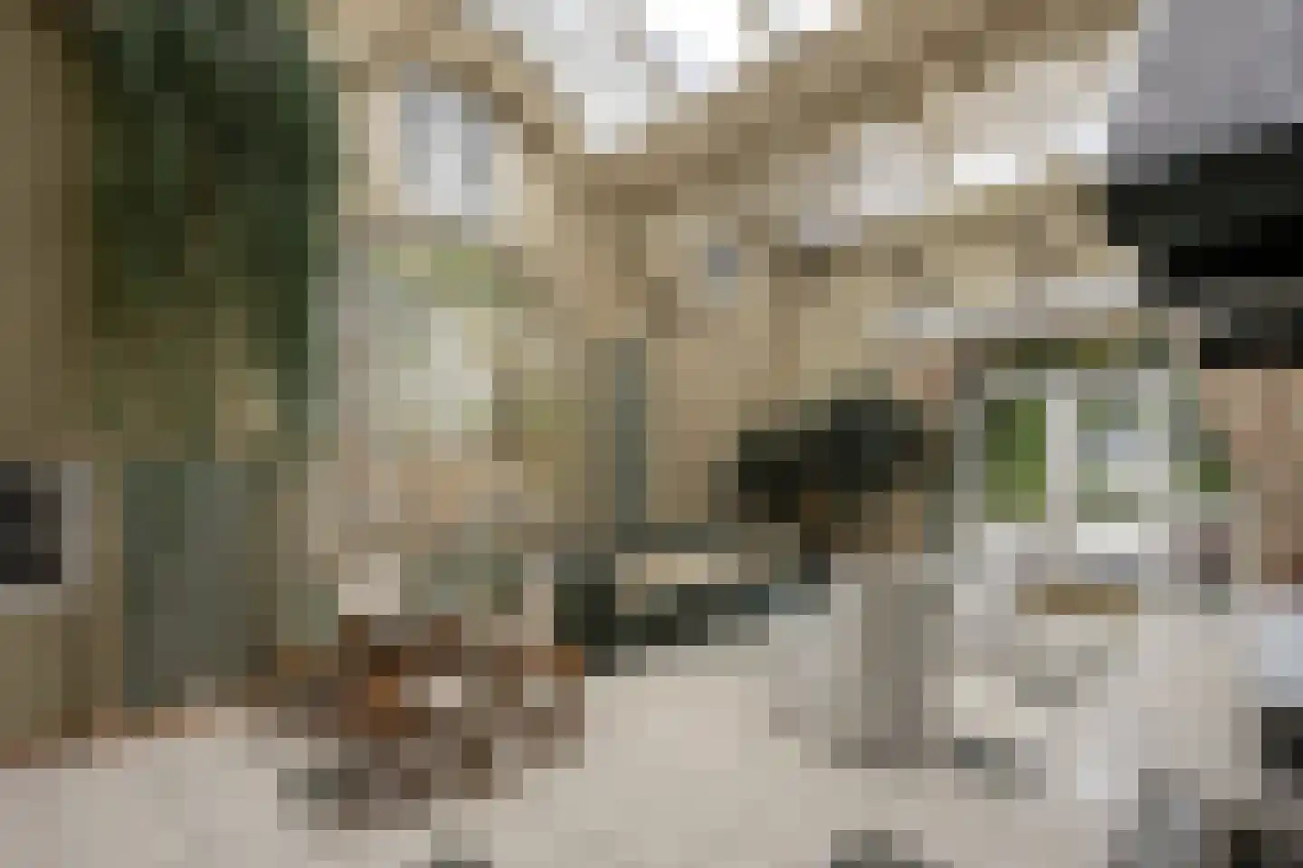 Klein Belgie 370 Vijfhuizen thumbnail 30