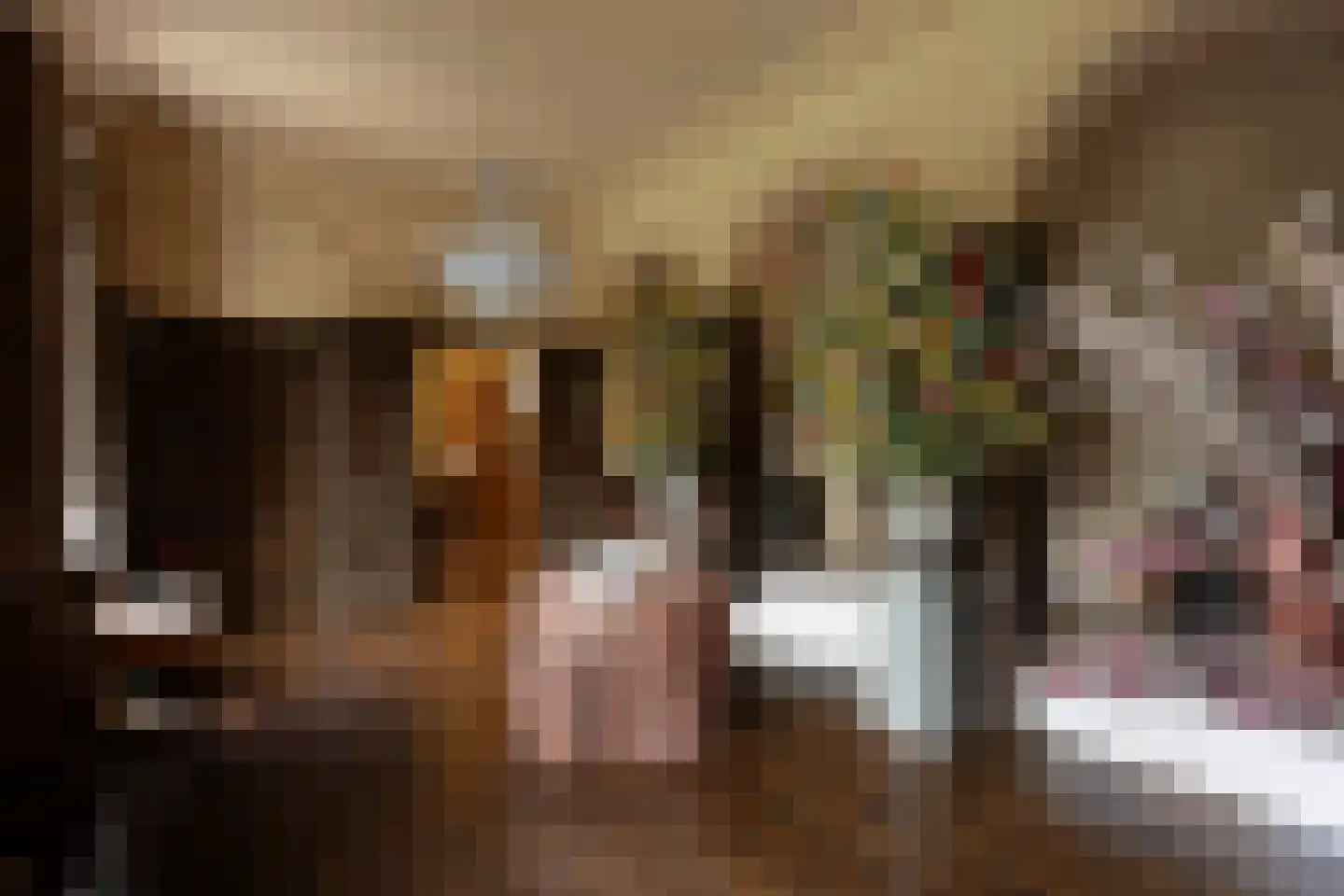 Klein Belgie 370 Vijfhuizen thumbnail 4