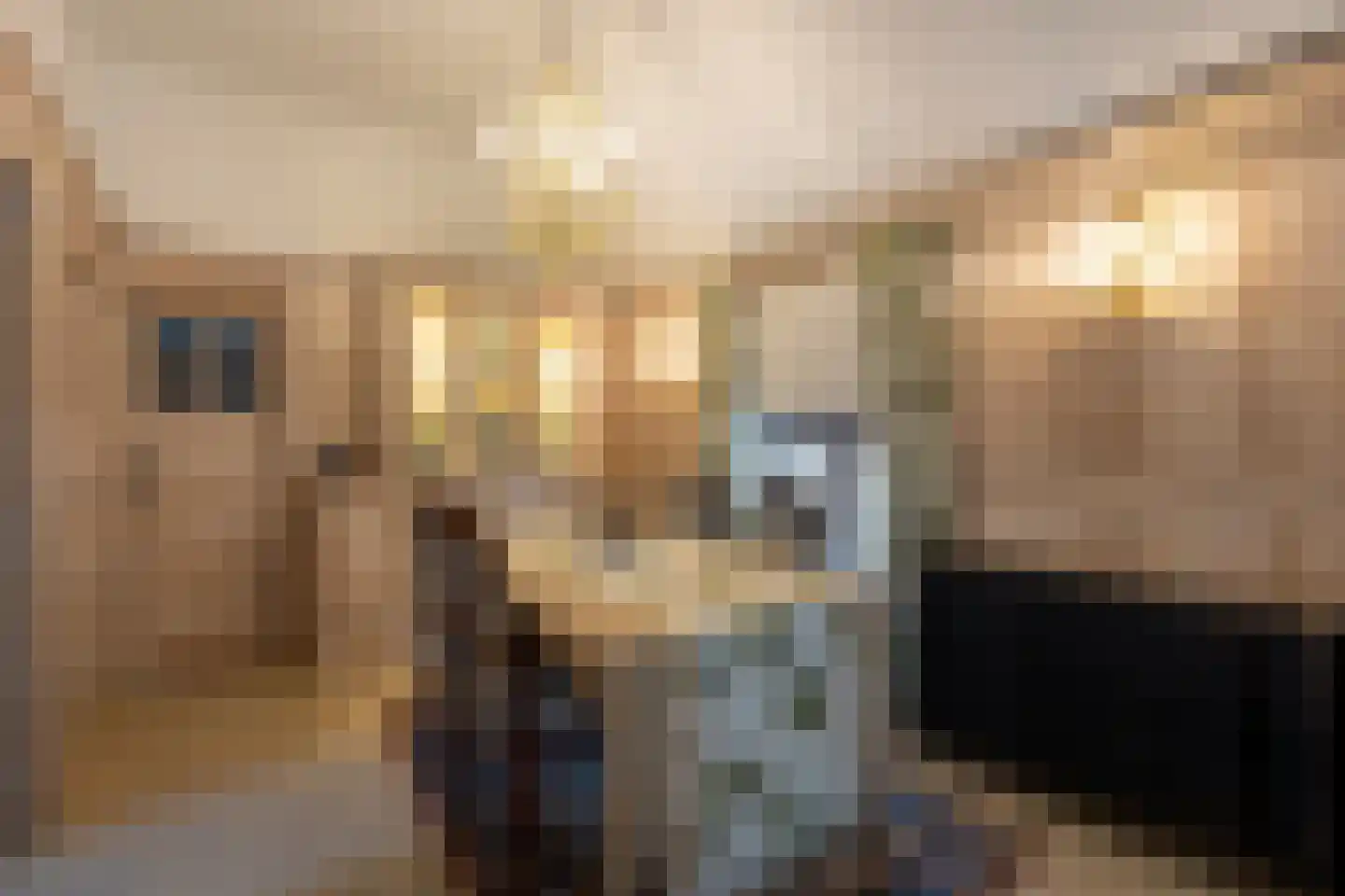 Klein Belgie 370 Vijfhuizen thumbnail 43