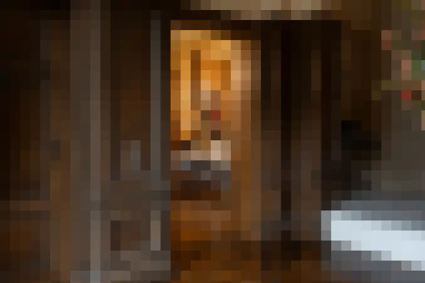 Klein Belgie 370 Vijfhuizen thumbnail 5