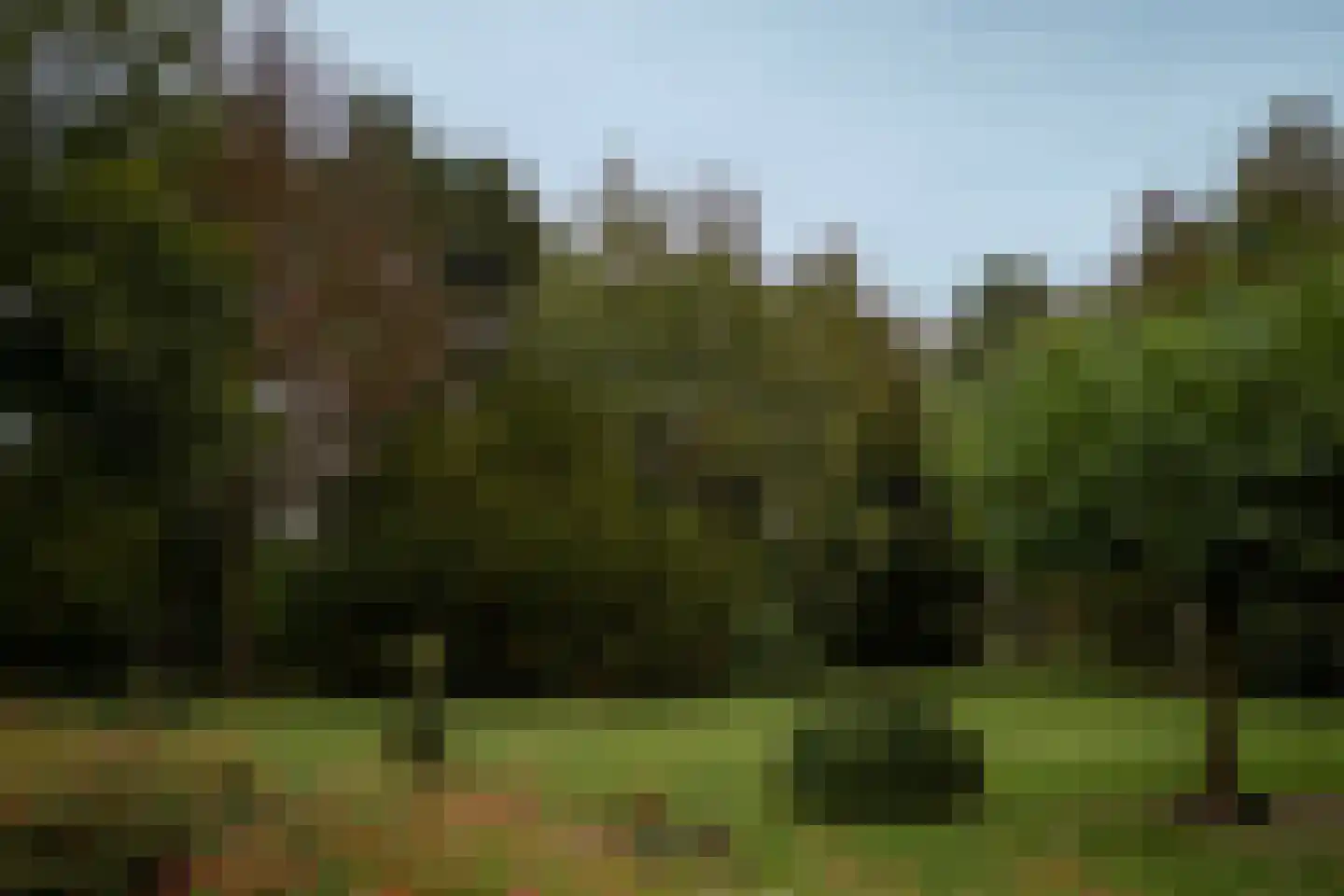 Klein Belgie 370 Vijfhuizen thumbnail 51