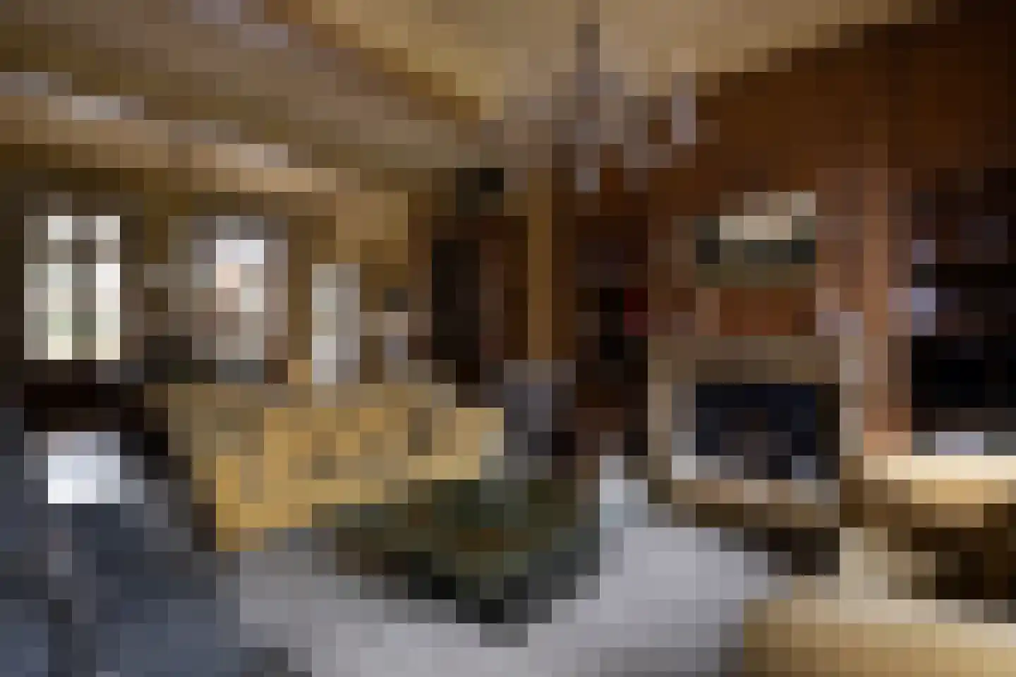 Klein Belgie 370 Vijfhuizen thumbnail 9