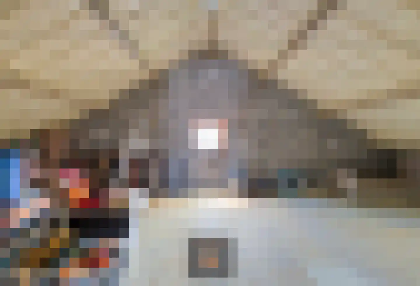 Klein Belgie 3740 Bilzen Vijfhuizen thumbnail 19