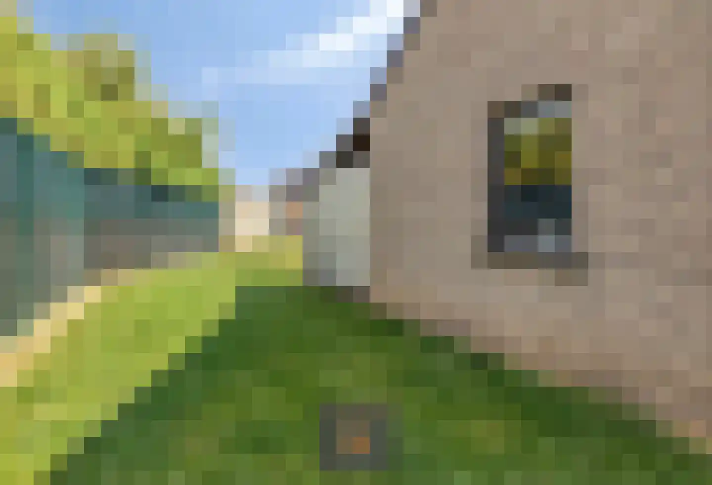 Klein Belgie 3740 Bilzen Vijfhuizen thumbnail 22