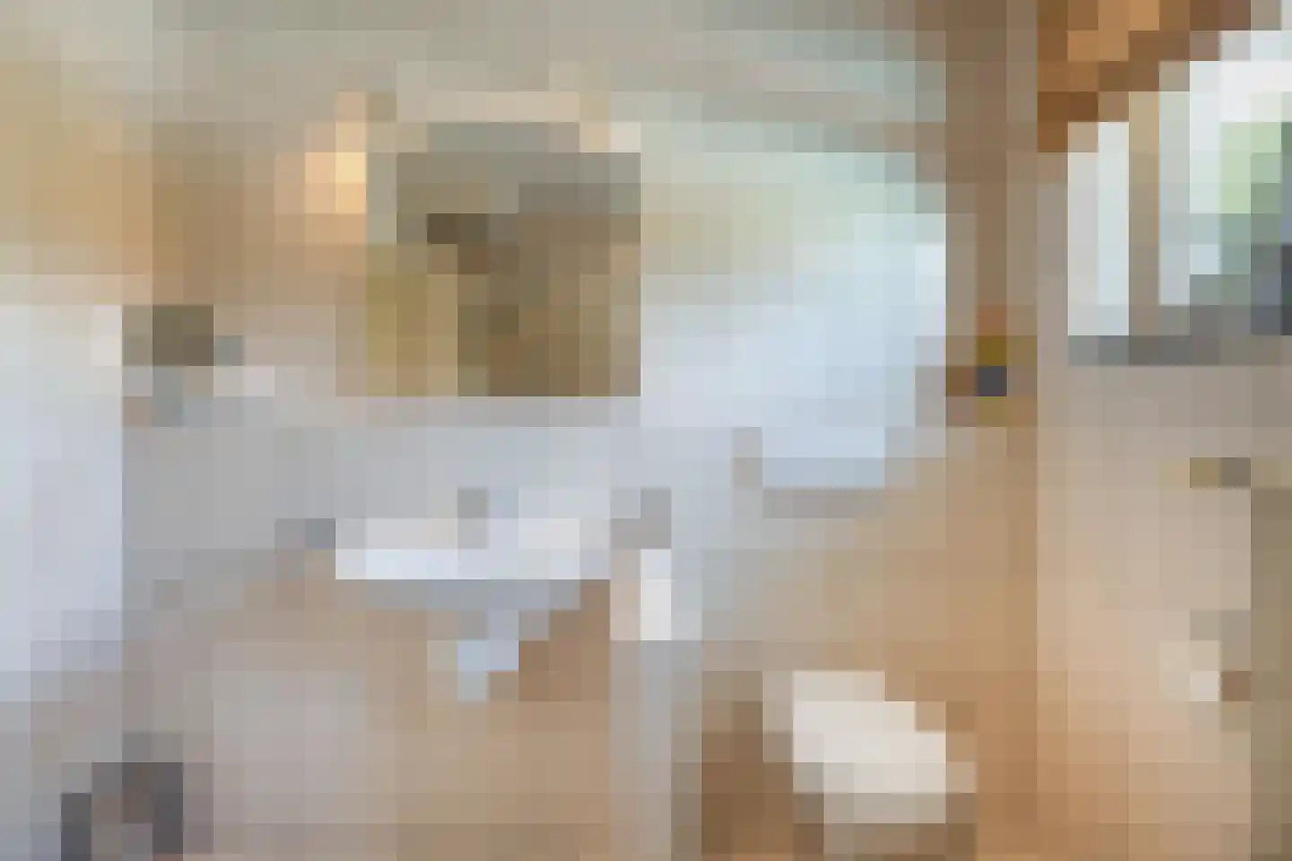 Klein Belgie 377 Vijfhuizen thumbnail 13