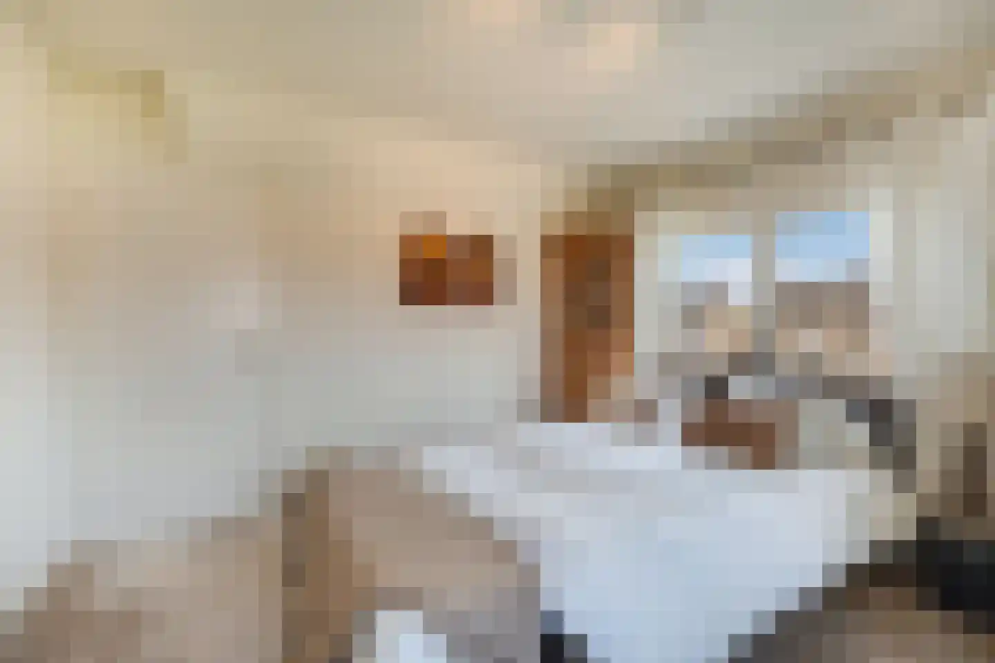 Klein Belgie 377 Vijfhuizen thumbnail 16
