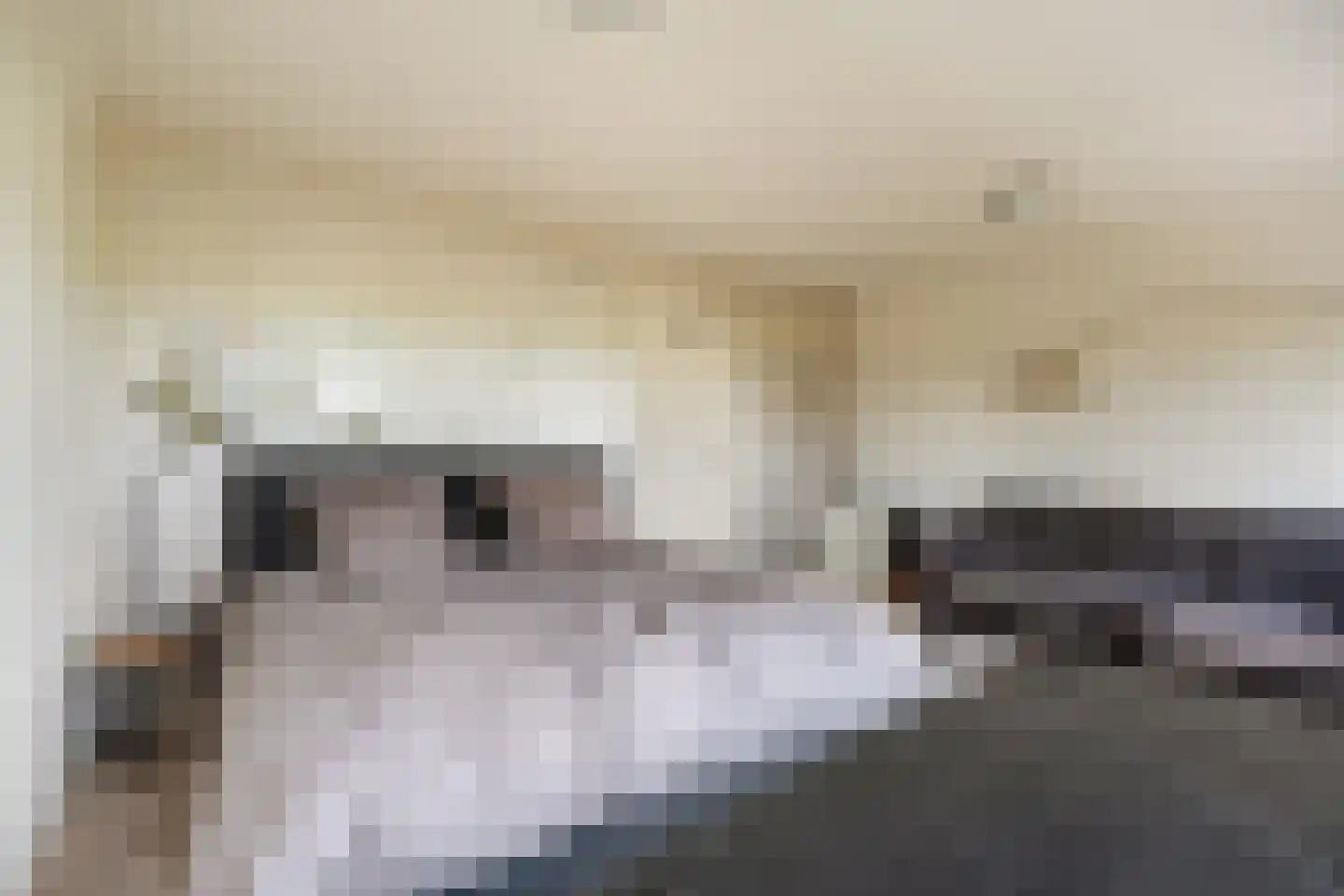 Klein Belgie 377 Vijfhuizen thumbnail 24