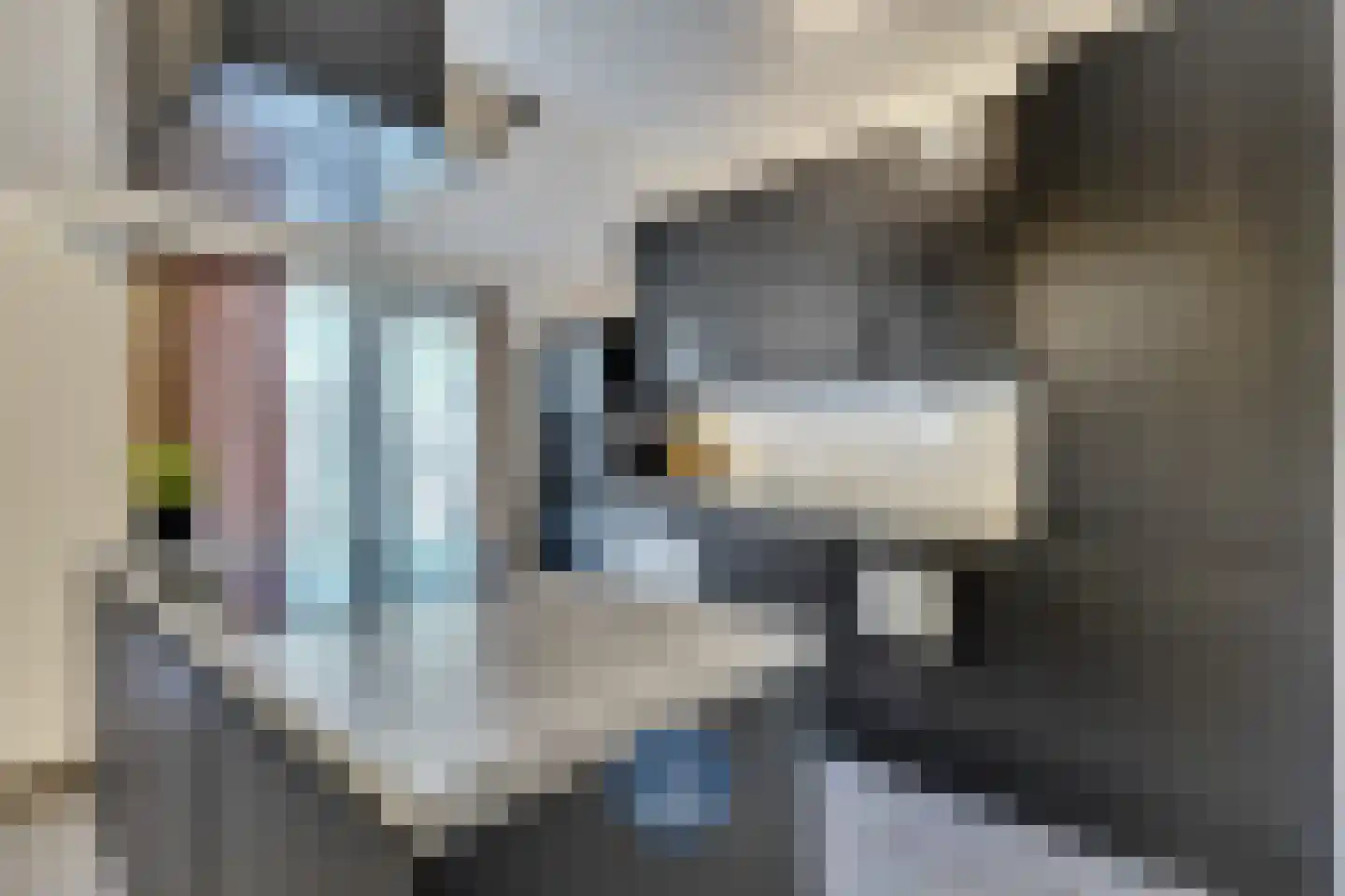Klein Belgie 3770 Riemst Vijfhuizen thumbnail 11