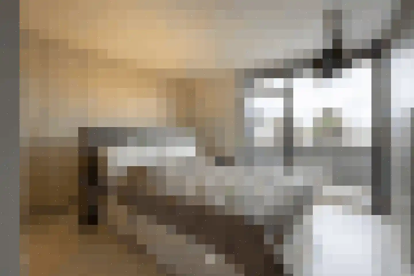 Klein Belgie 38 bus4 Vijfhuizen thumbnail 15