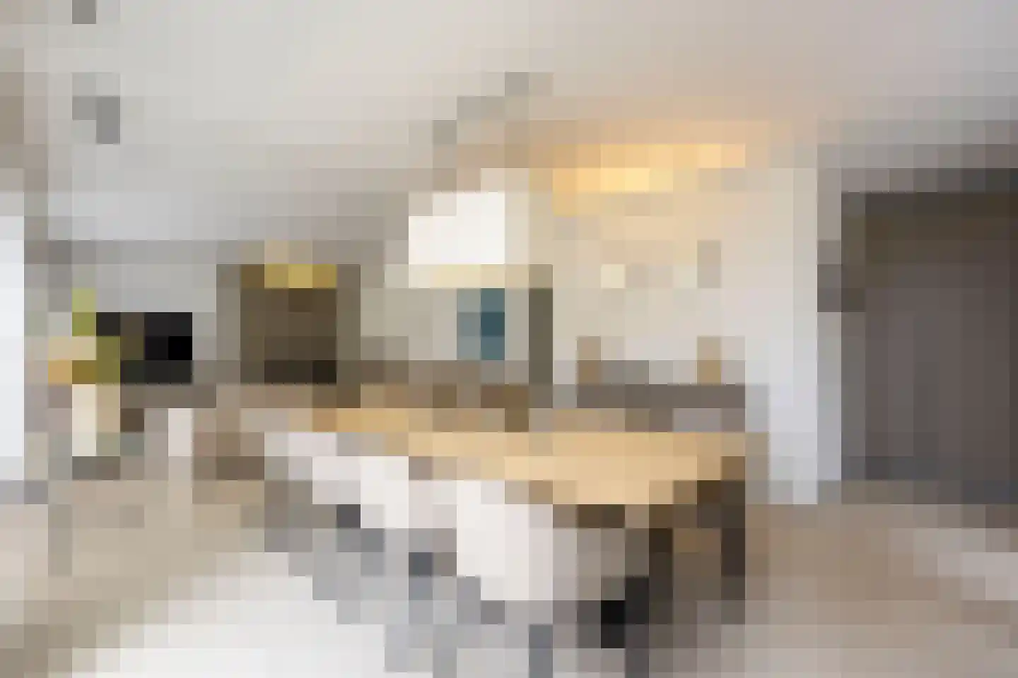 Klein Belgie 38 bus4 Vijfhuizen thumbnail 22