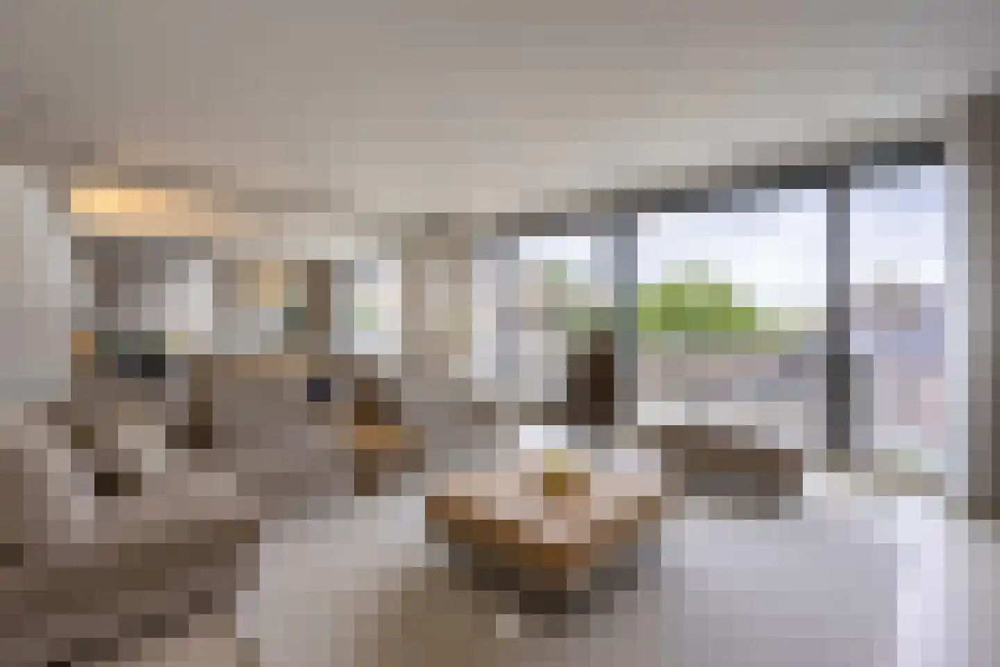 Klein Belgie 38 bus4 Vijfhuizen thumbnail 25