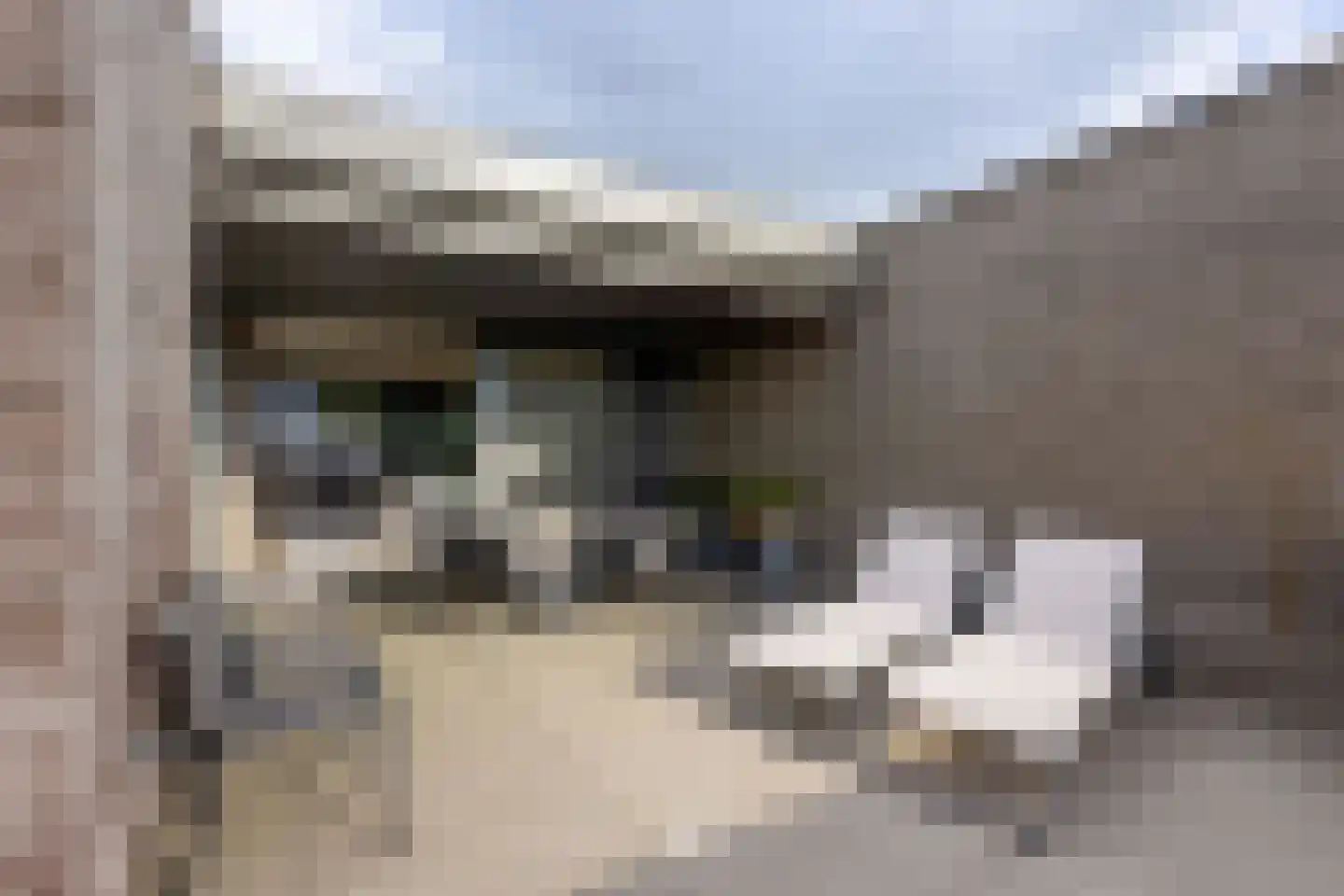 Klein Belgie 38 bus4 Vijfhuizen thumbnail 35