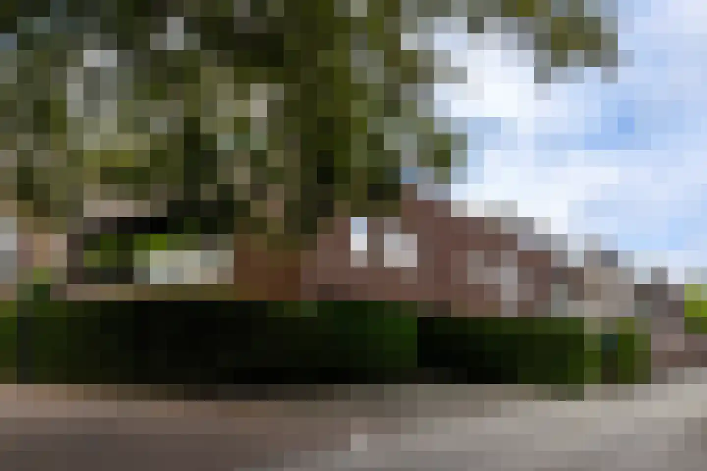 Klein Belgie 38 bus4 Vijfhuizen thumbnail 38