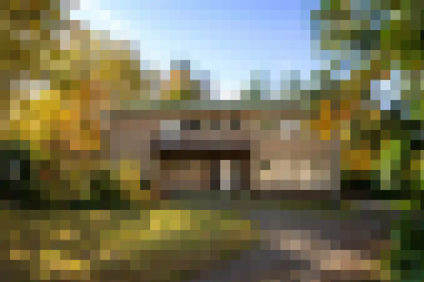 Klein Belgie 39 Vijfhuizen thumbnail 4