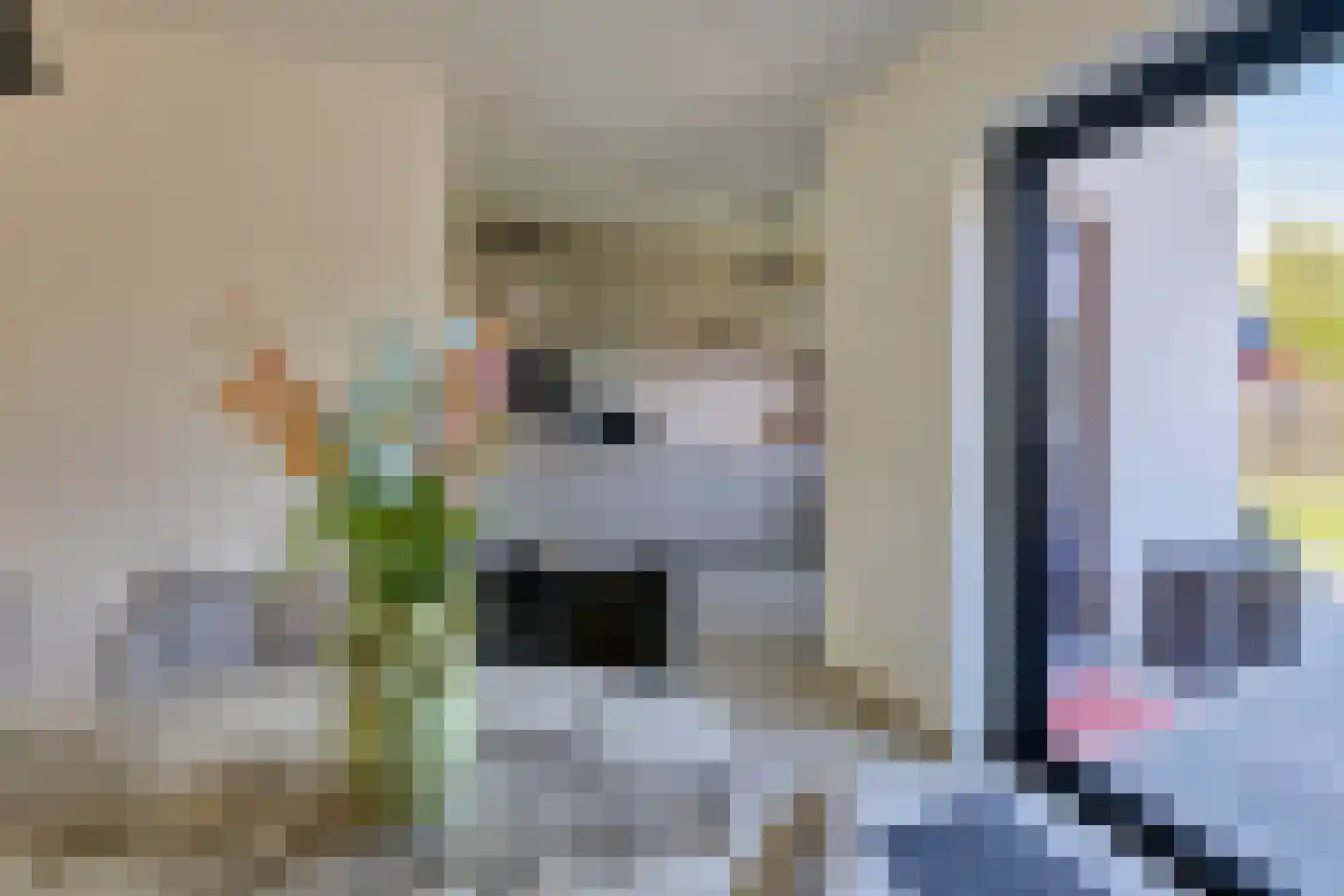 Klein Belgie 3930 Vijfhuizen thumbnail 11