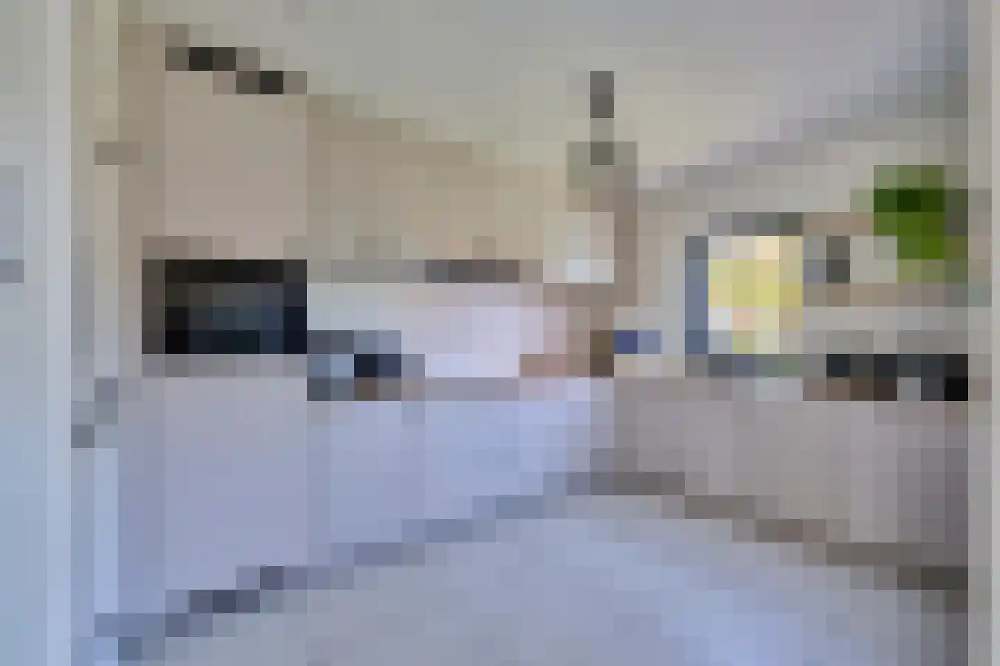 Klein Belgie 3930 Vijfhuizen thumbnail 12