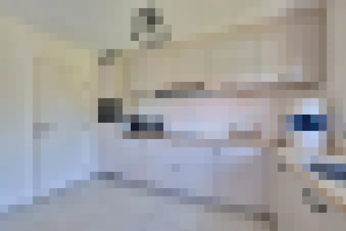 Klein Belgie 3930 Vijfhuizen thumbnail 15