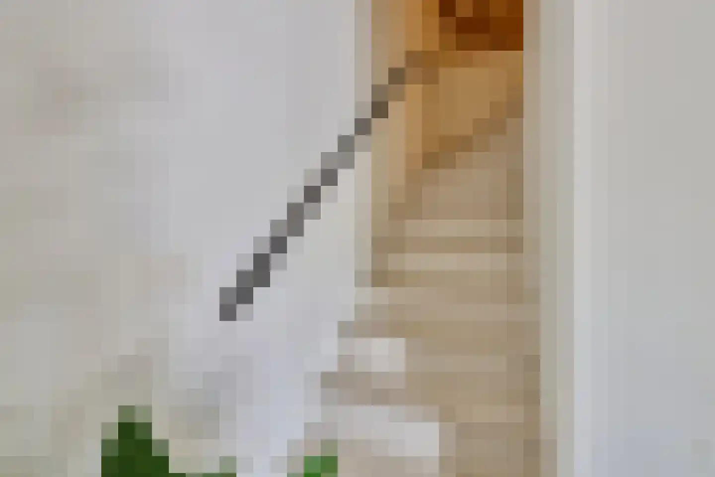 Klein Belgie 3930 Vijfhuizen thumbnail 18