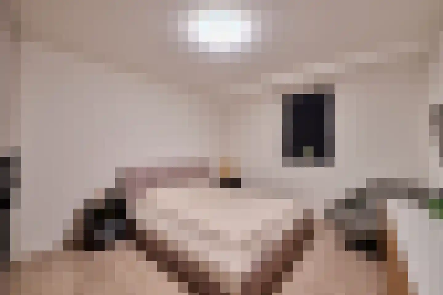 Klein Belgie 3930 Vijfhuizen thumbnail 22