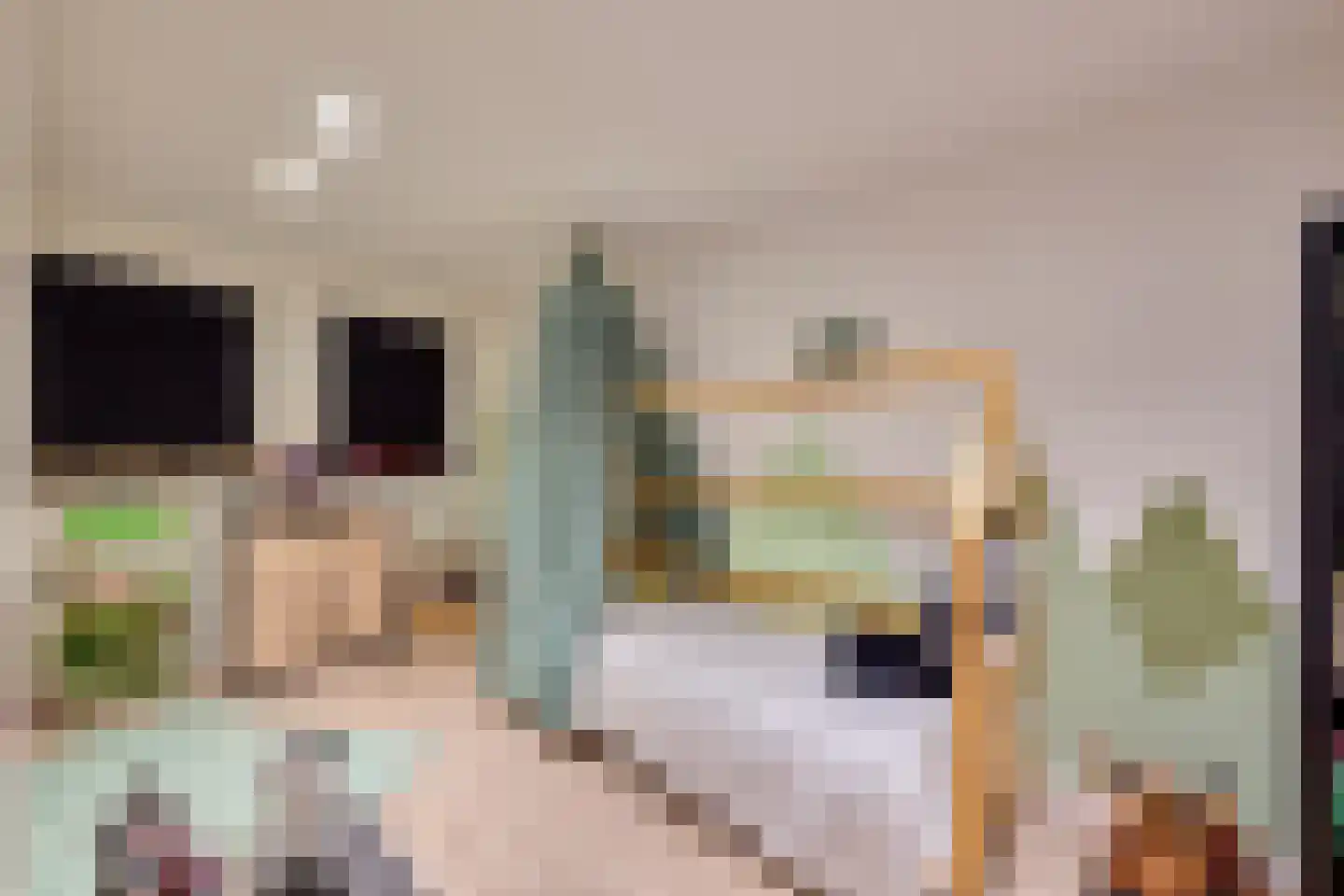 Klein Belgie 3930 Vijfhuizen thumbnail 24
