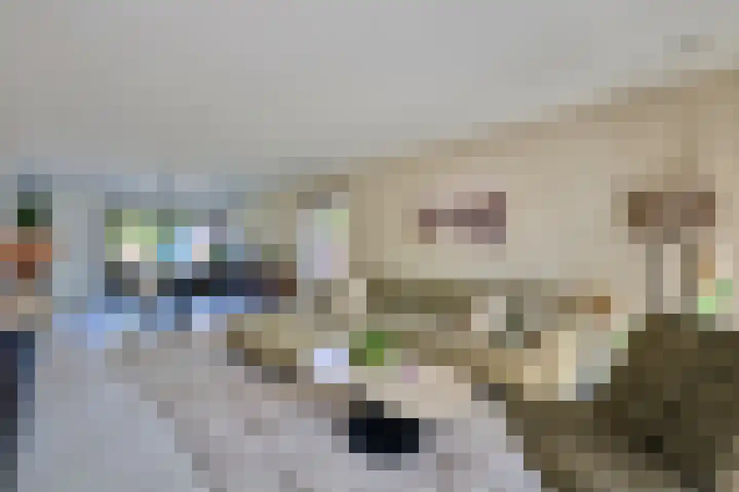 Klein Belgie 3930 Vijfhuizen thumbnail 5