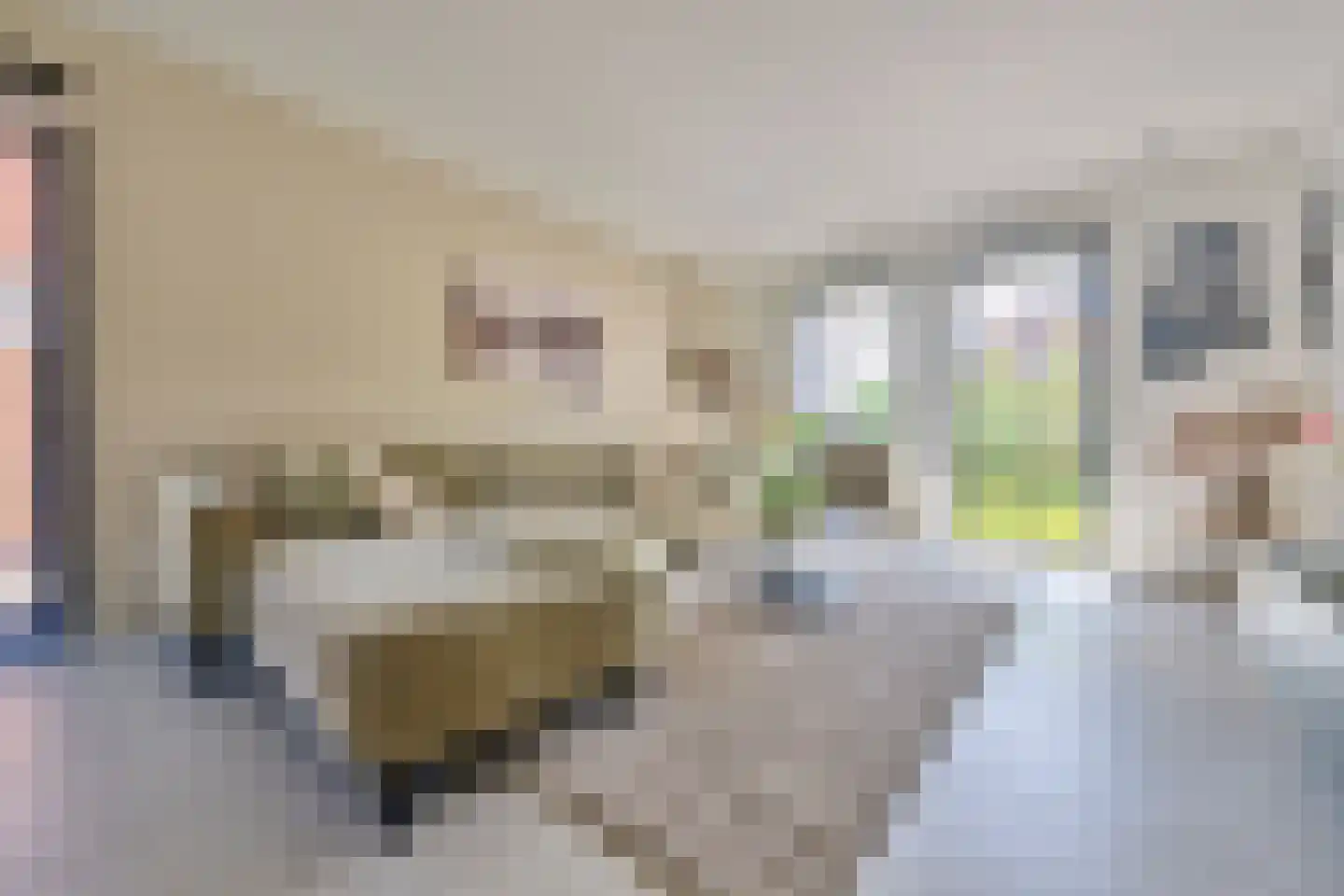 Klein Belgie 3930 Vijfhuizen thumbnail 8