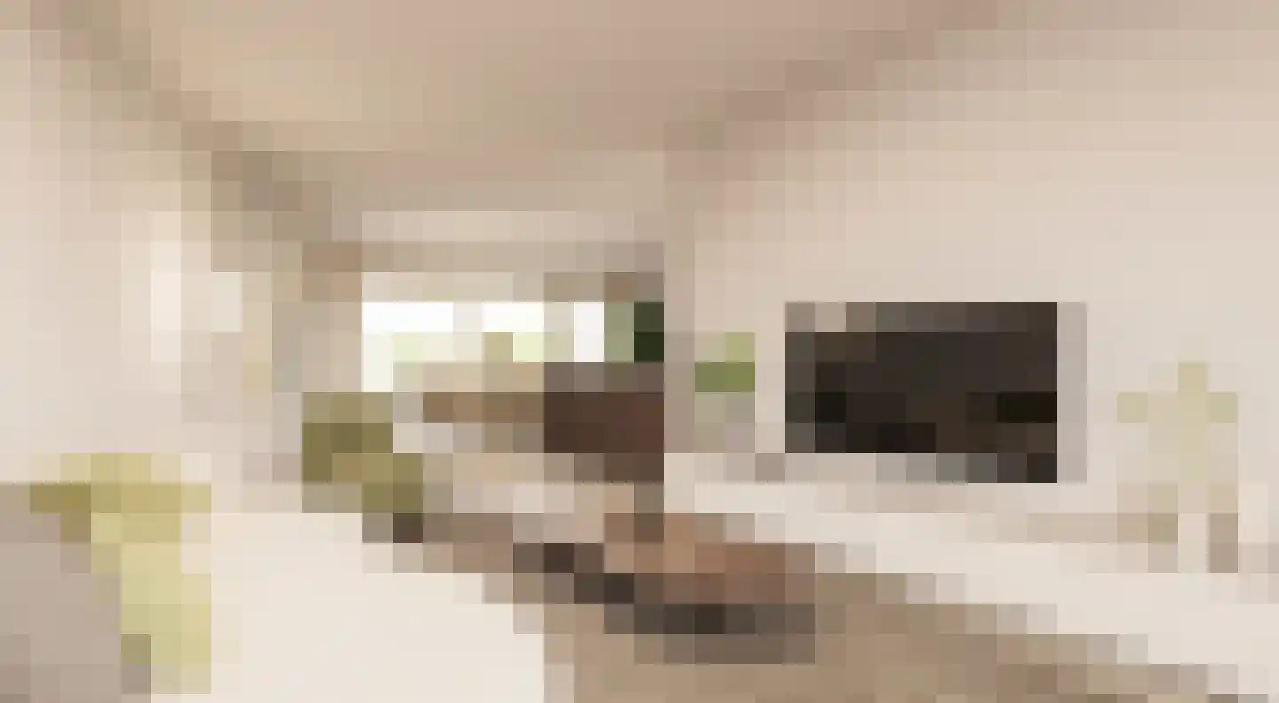 Klein Belgie 4 25D Vijfhuizen thumbnail 8